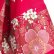 Photo10: Cherry Blossom  "Happi-coat" robe (Half length) (10)