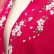 Photo7: Cherry Blossom  "Happi-coat" robe (Half length) (7)