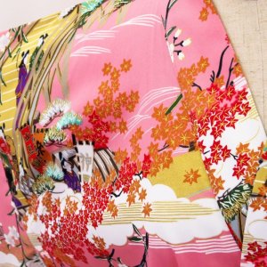 Photo6: Boating "Kimono" robe XL ( Wide Size )