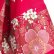 Photo13: Cherry Blossom "Kimono" robe