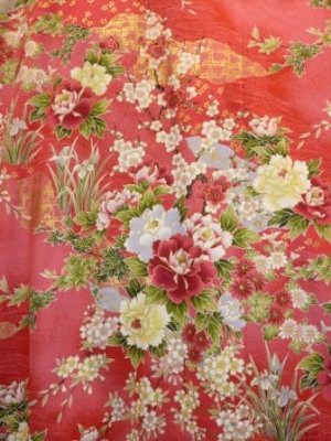 Photo3: Flower of Four Seasons  "Kimono" robe