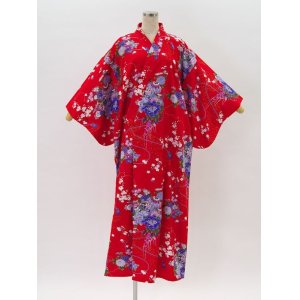 Photo: The Symphony of Beauty  "Kimono" robe